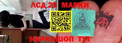 мяу мяу мука Нальчик