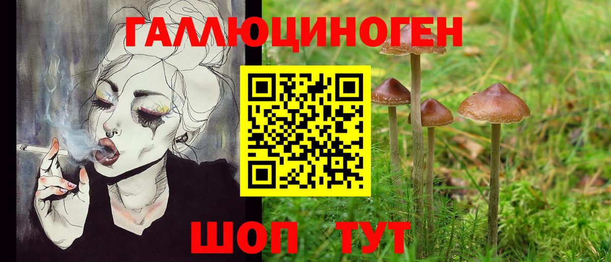 где купить наркотик  Псилоцибиновые грибы Psilocybe  Звенигород  Вход с VPN  Галлюциногенные грибы GOLDEN TEACHER 