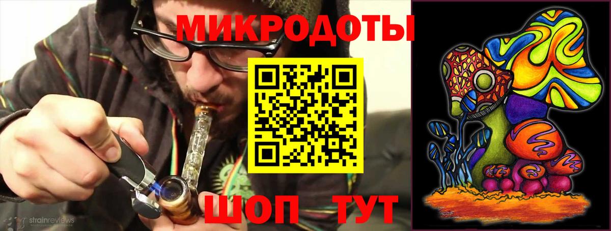 Галлюциногенные грибы Psilocybe Звенигород
